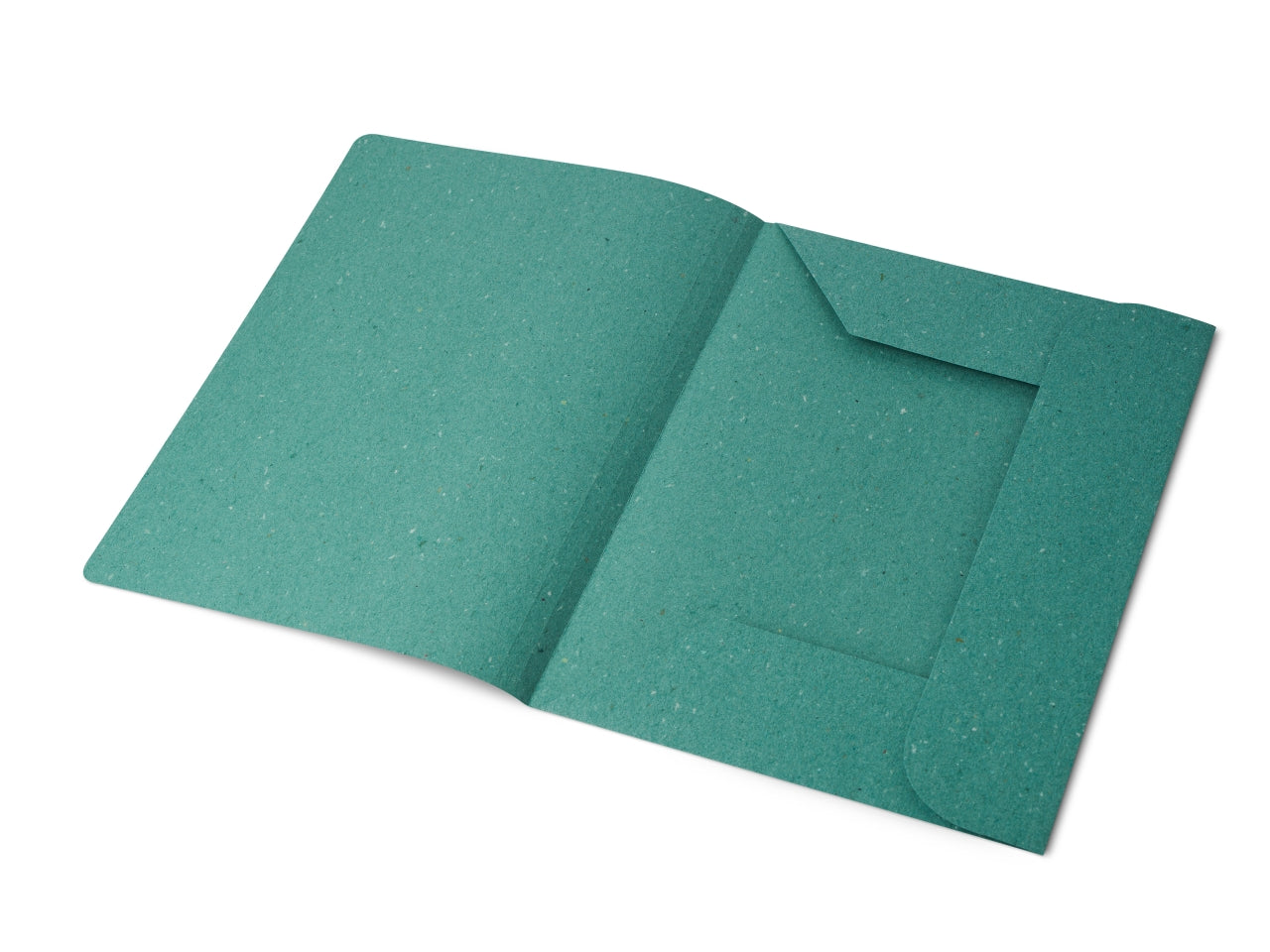 Cartelle semplici eco 50 pezzi 0221803ve