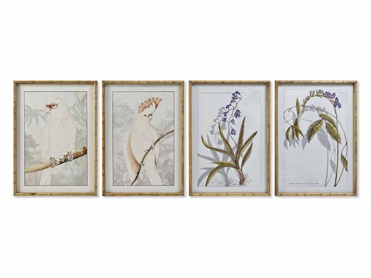Quadro 50x70cm botanico cu-187490
