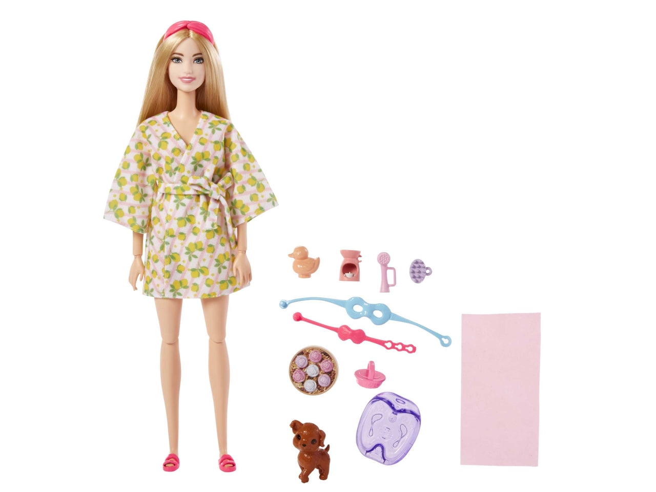 Barbie doll con accessori | Mattel