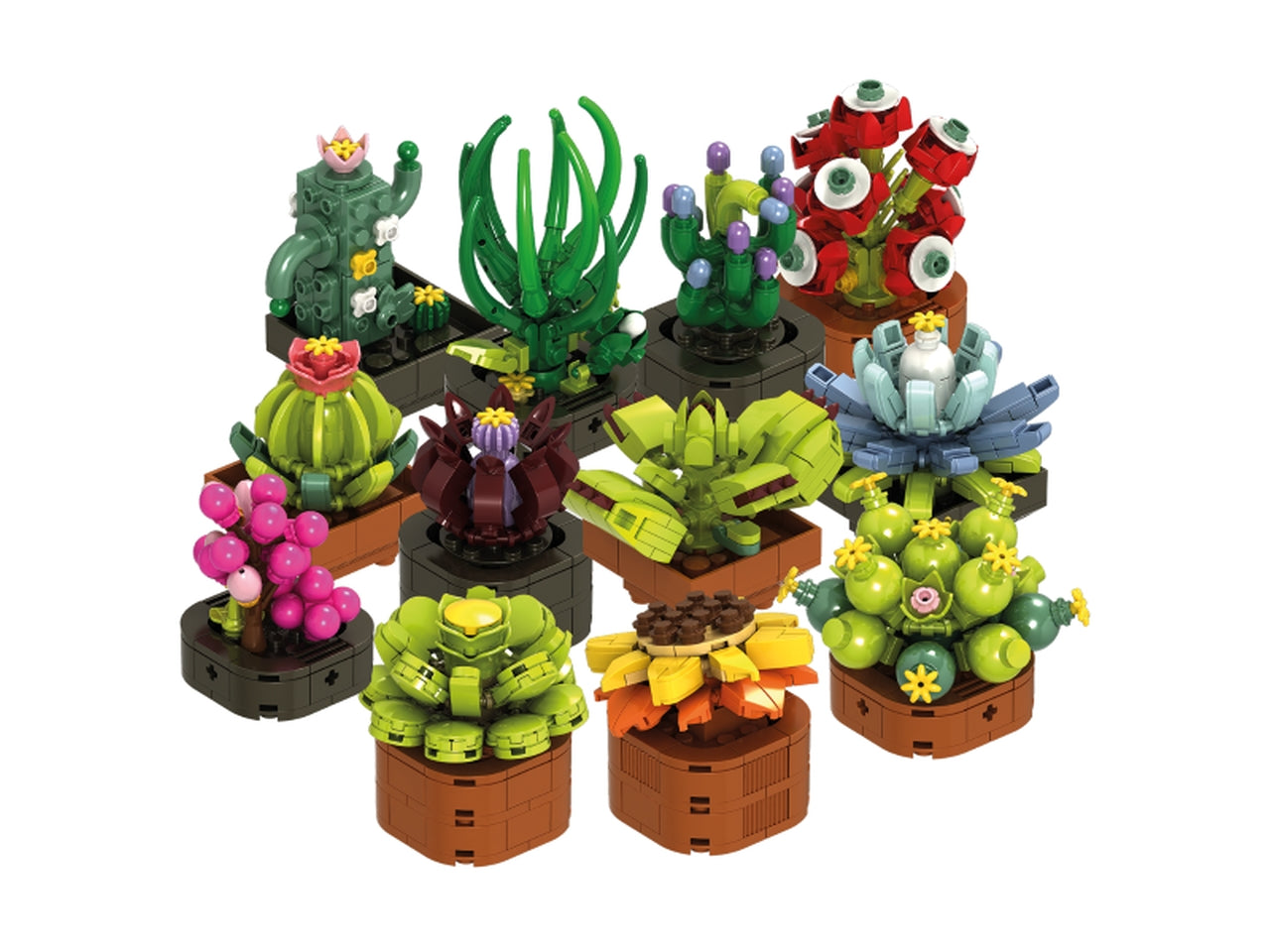 Mattoncini exotic plants