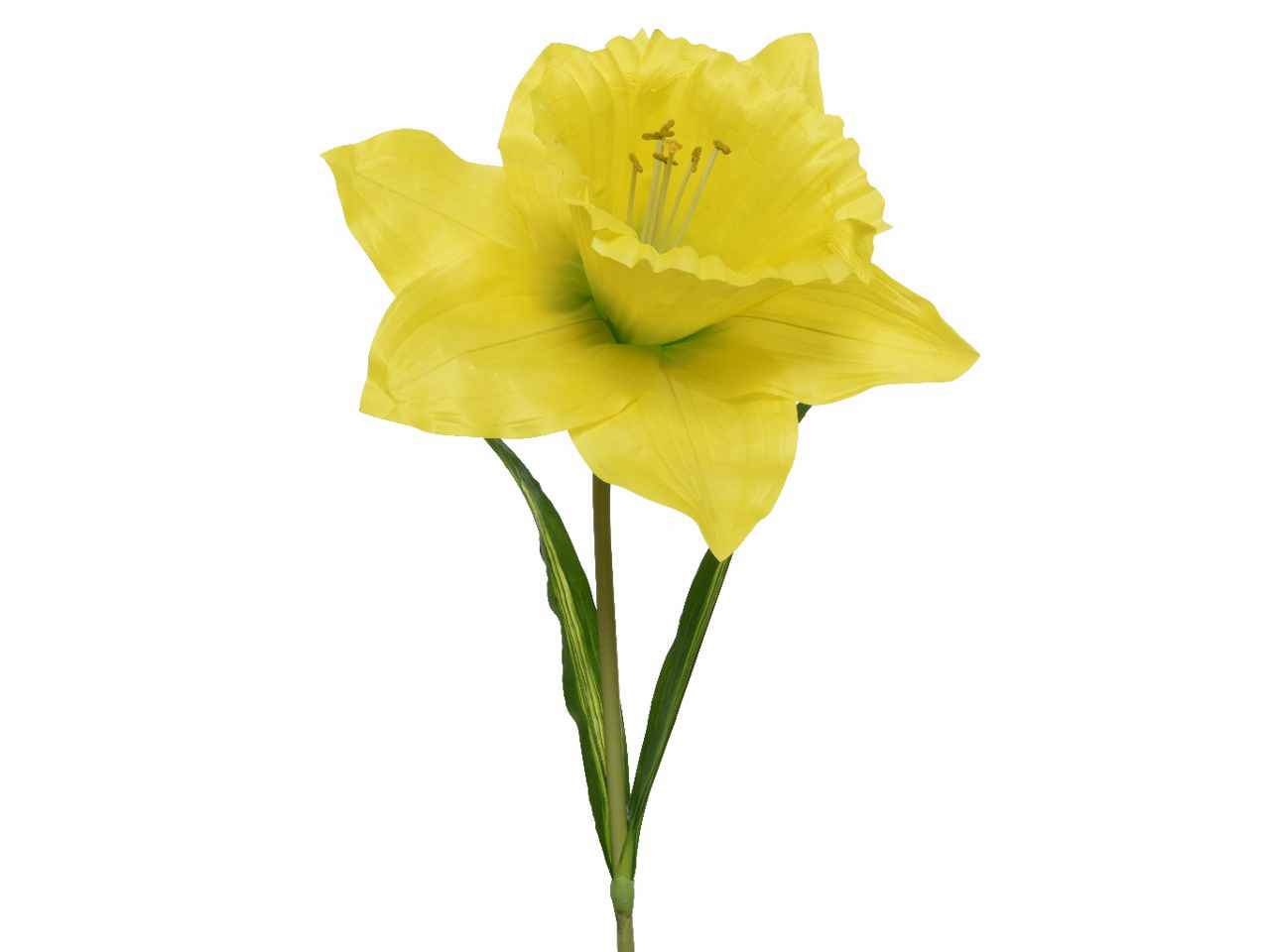 Narciso giallo h.140cm 804186