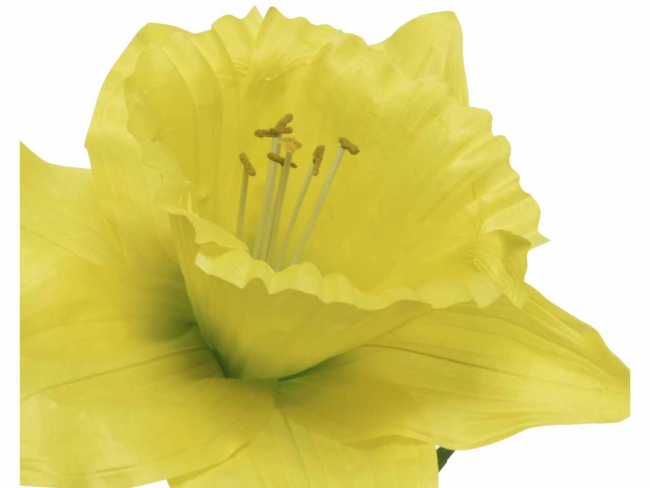 Narciso giallo h.140cm 804186