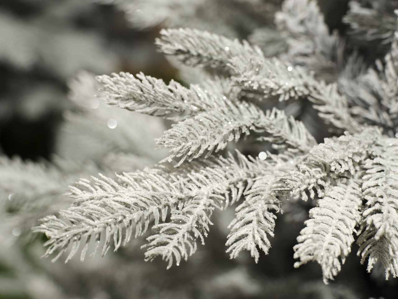 Albero di natale grandis innevato 180cm d.132cm grigio/bianco $