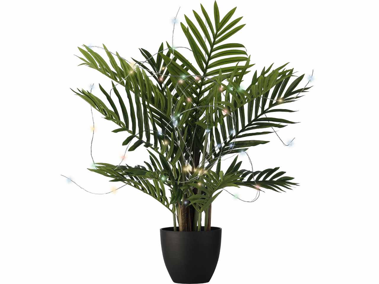 Catena luci 40 micro led 40cm multicolor con funzionamento a batteria uso esterno $