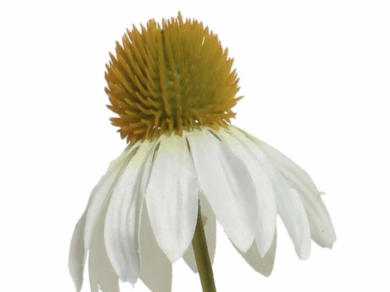 Fiore di echinacea h.92cm bianco