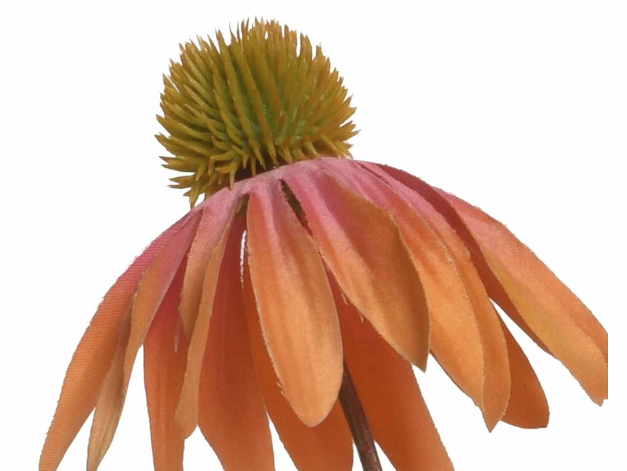 Fiore di echinacea h.92cm pesca