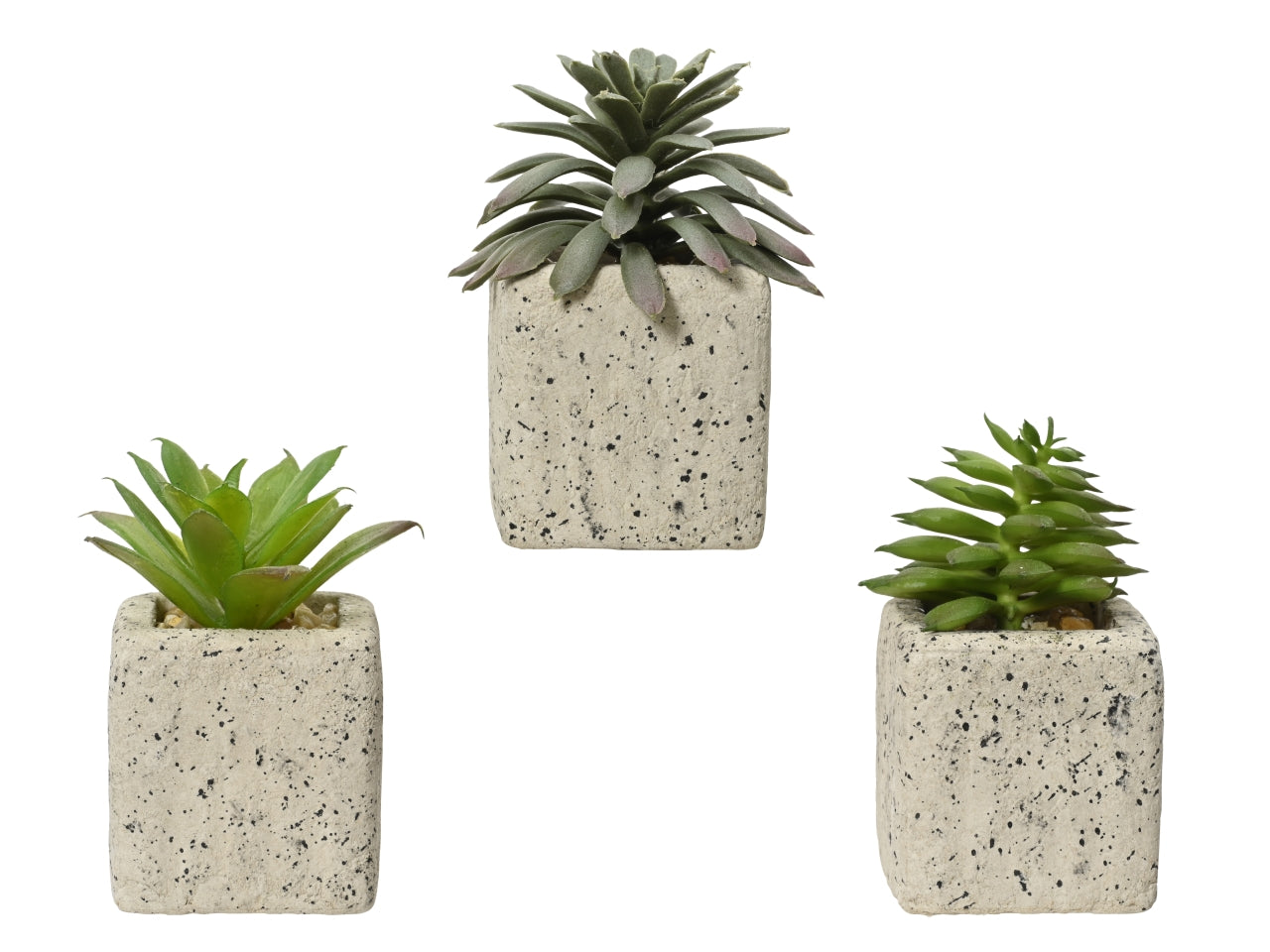 Pianta finta piccola aloe in vaso, rustico, realistica con Echinocactus, Aloe, Echeveria - 4,5x8cm - Kaemingk