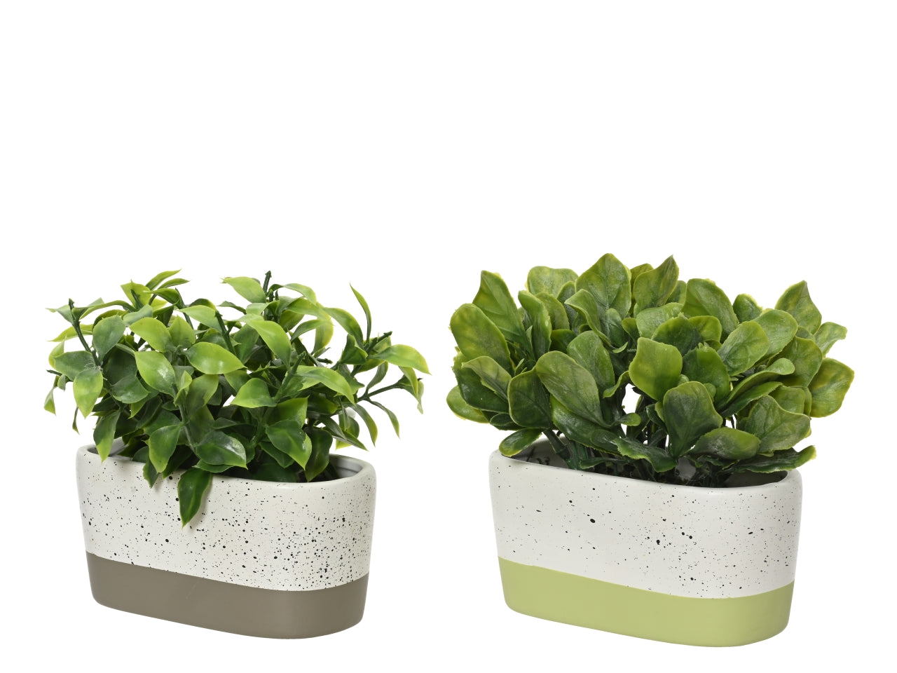 Piantina artificiale sempreverde in vaso ceramica moderna, realistica con fogliame opaco e lucido - 14x16cm - Kaemingk