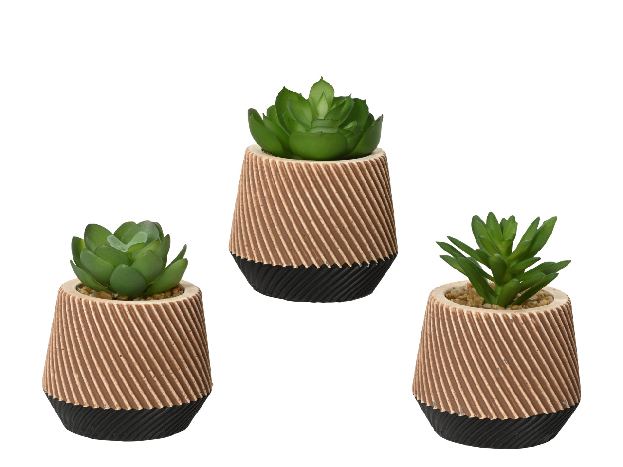 Pianta grassa finta piccola in vaso ceramica stile industriale, realistica con 3 tipologie - 7,5x9,5cm - Kaemingk