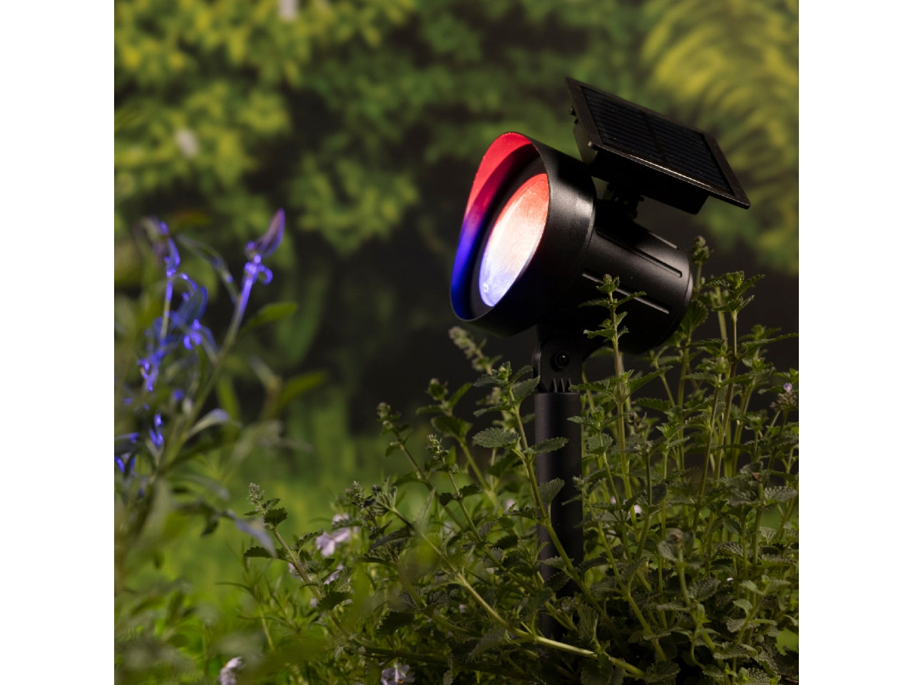 Set da 2 faretti solari da giardino neri in plastica con luce bianco caldo e cambio colore RGB, autonomia 6 ore - 11x31,5cm - Kaemingk $