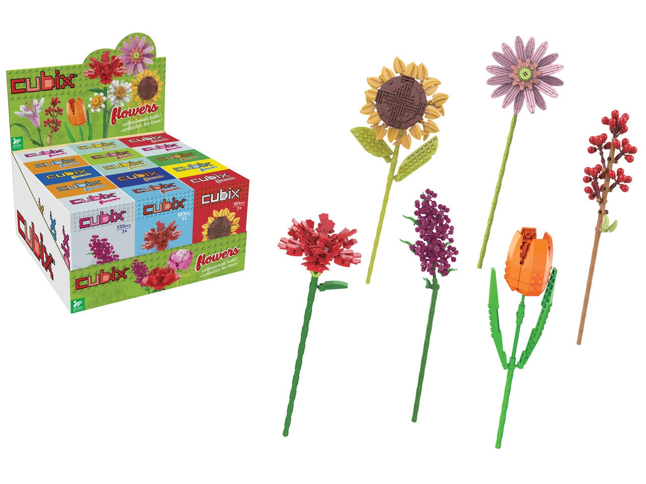 Cubix fiori 10 assortiti con 15pezzi