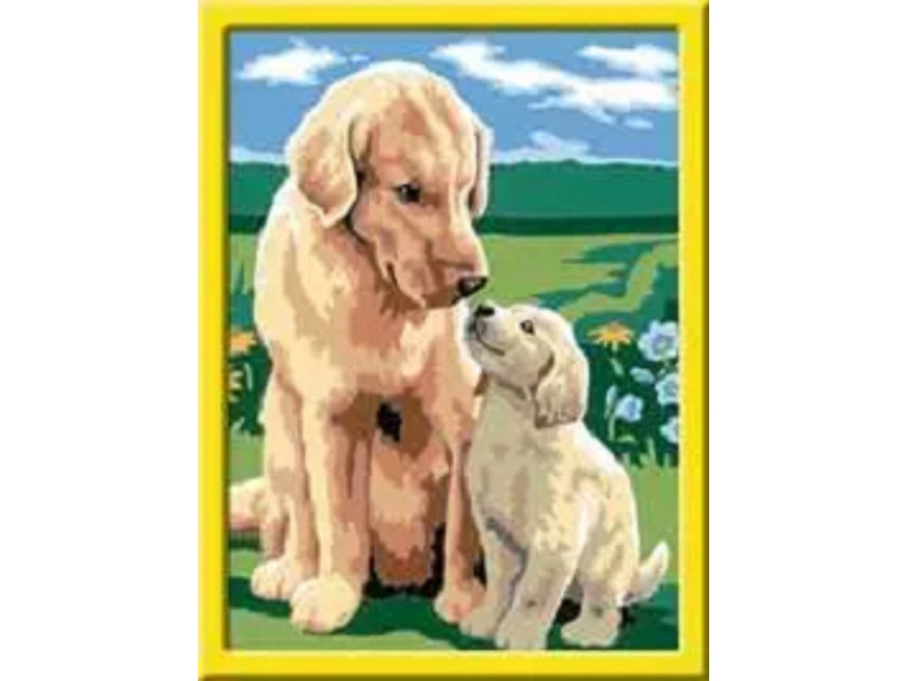 Creart retriever sul prato 20048 1