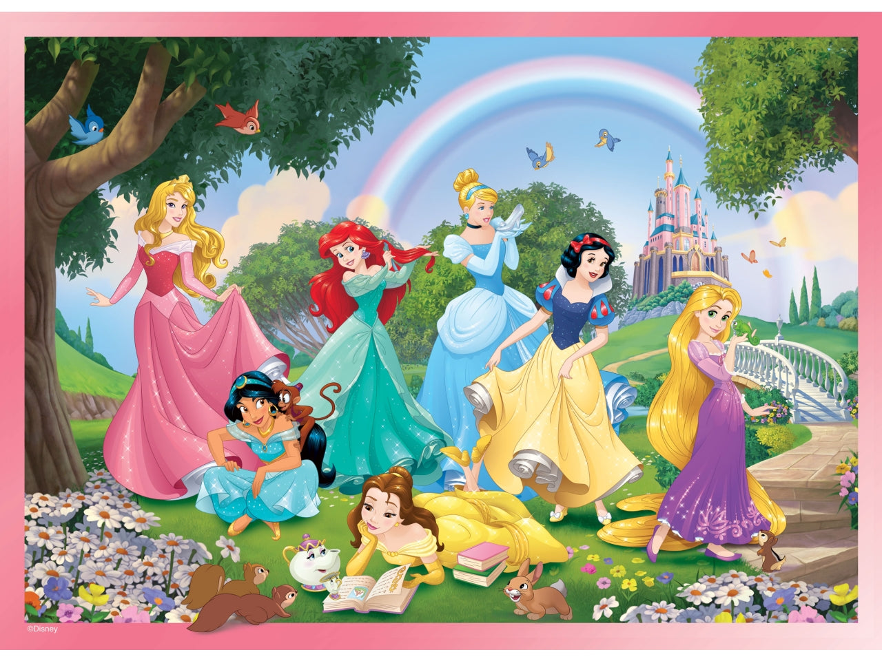 Disney puzzle df maxi floor 108 princess rainbow world