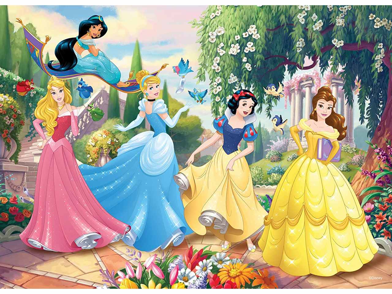 Puzzle df plus 60 princess