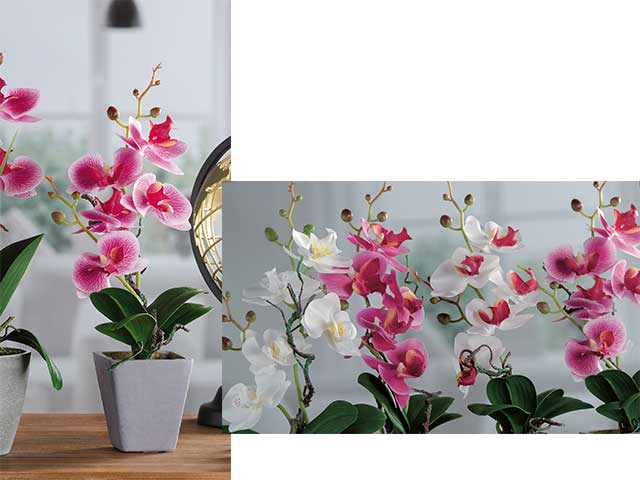 Vaso con orchidea 5f 8x34cm 59002