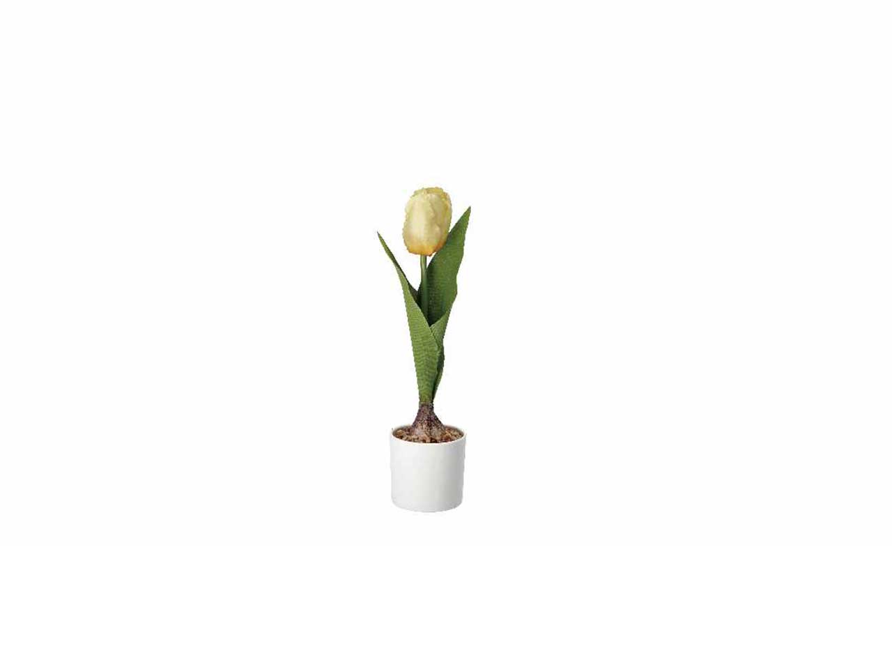 Vaso c/tulipani d7xh25cm 74874