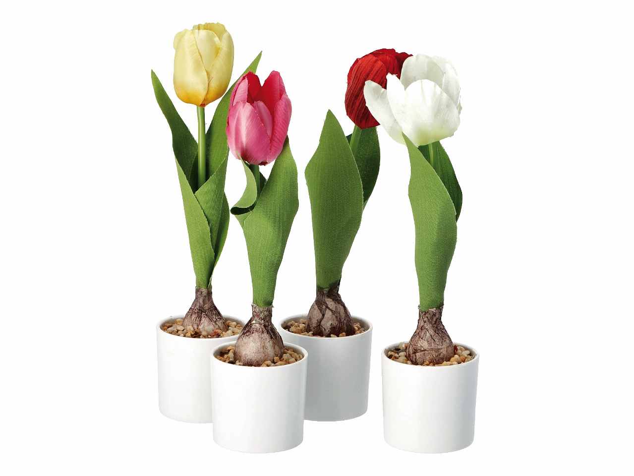 Vaso c/tulipani d7xh25cm 74874