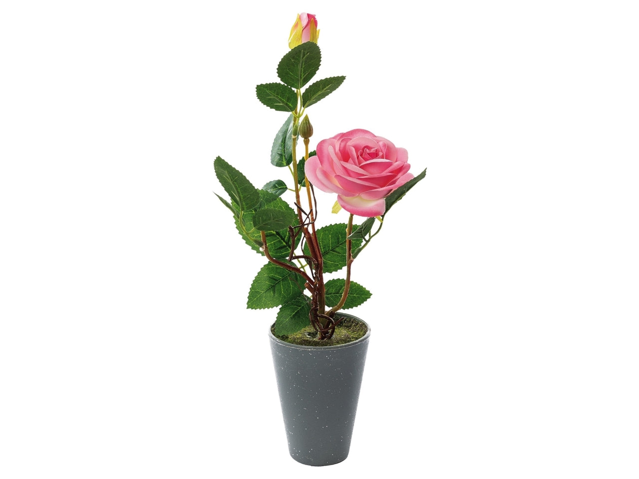 Vaso con rosa 2 boccioli d.8xh.34cm in 4 colori assortiti