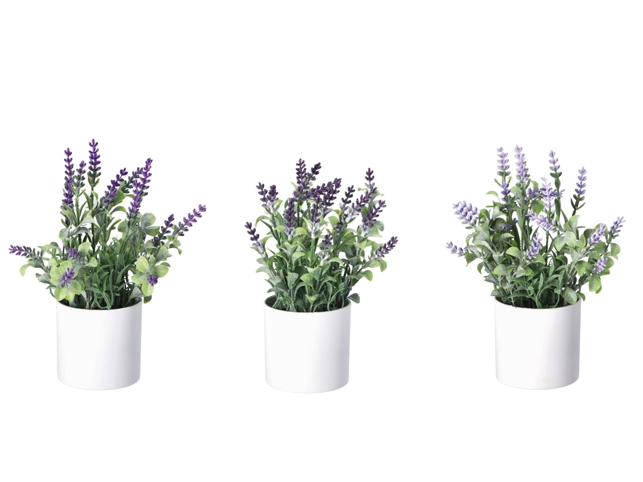 Vaso con lavanda d.8xh.25cm in 3 colori assortiti