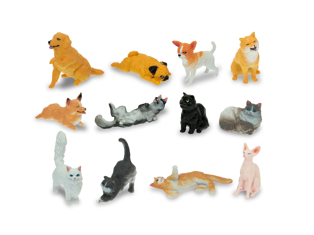 Geo nature - cani e gatti 12 modelli assortiti