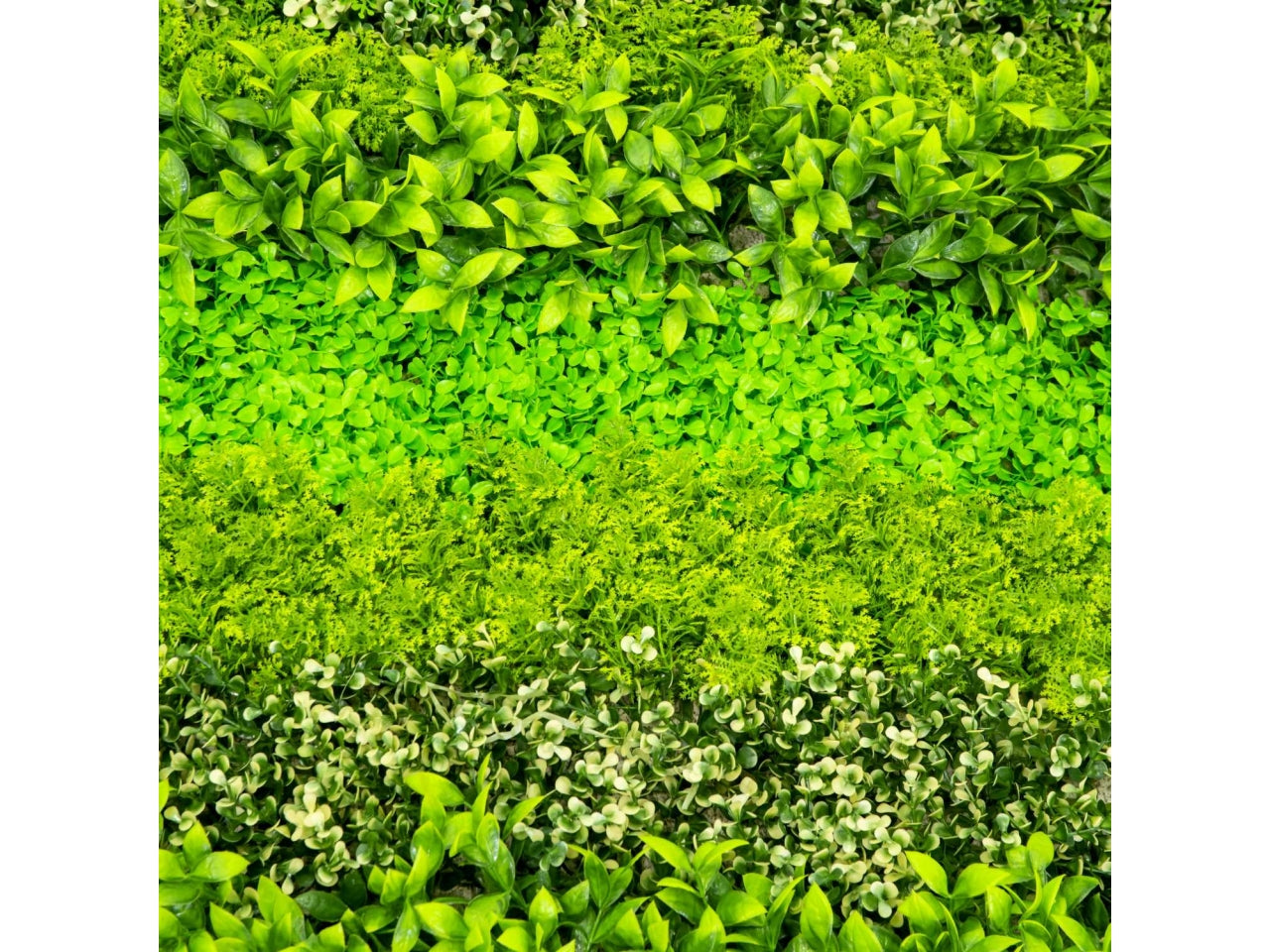 Pannello lichene artficiale decorazione da parete tropicale verde, effetto naturale, facile applicazione - 100x100cm - Vacchetti