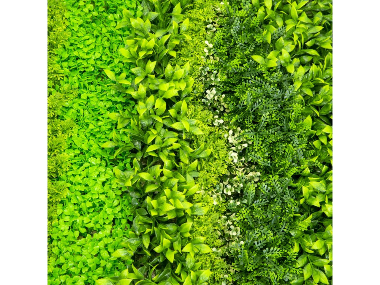 Pannello lichene artficiale decorazione da parete tropicale verde, effetto naturale, facile applicazione - 100x100cm - Vacchetti