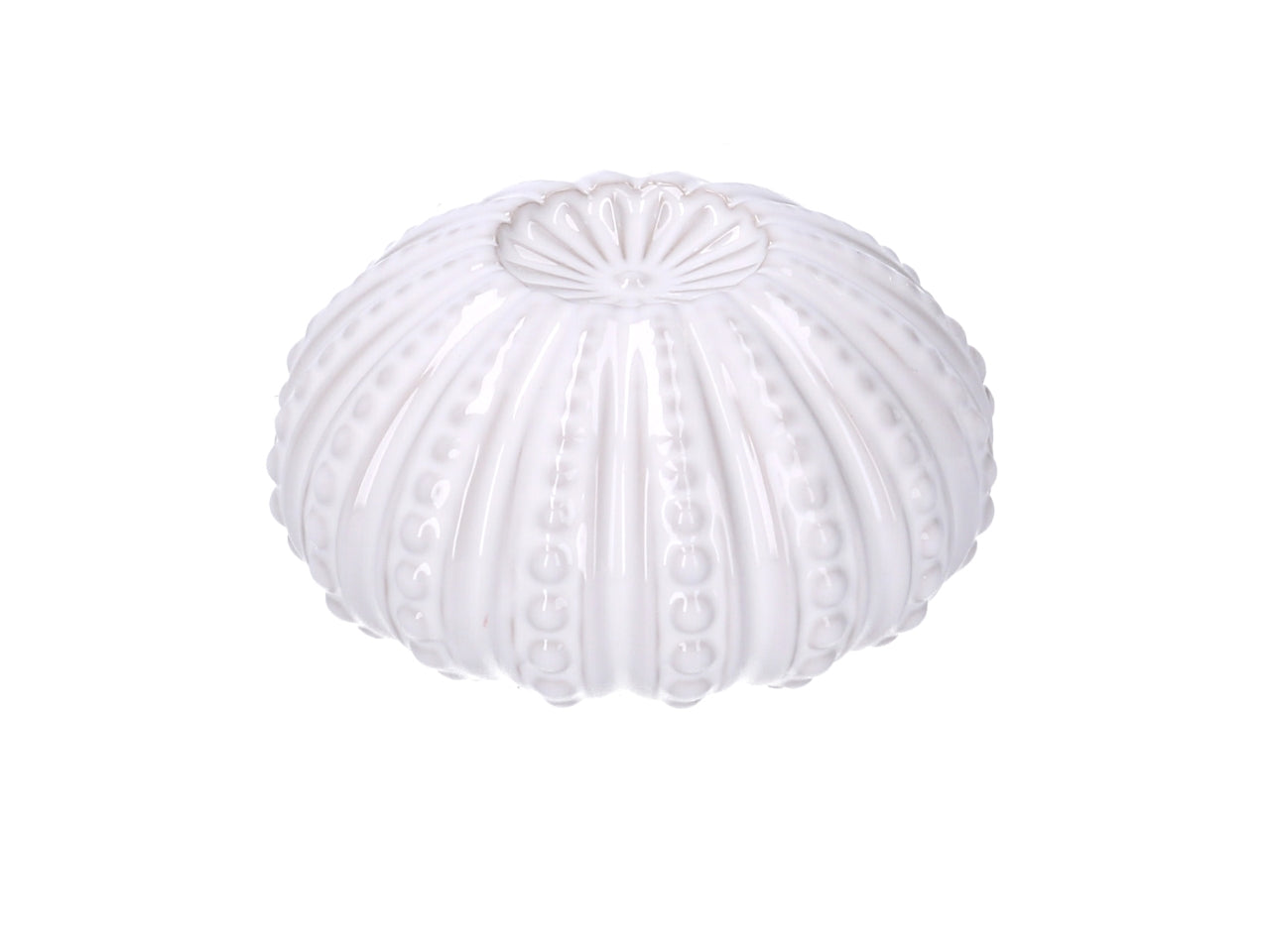 Riccio di mare ceramica bianco tondo d.10,3xh5,4cm