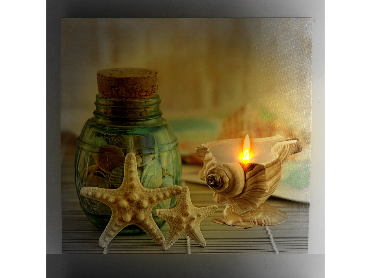 Quadro mare led conchiglie 40x2,3x40cm