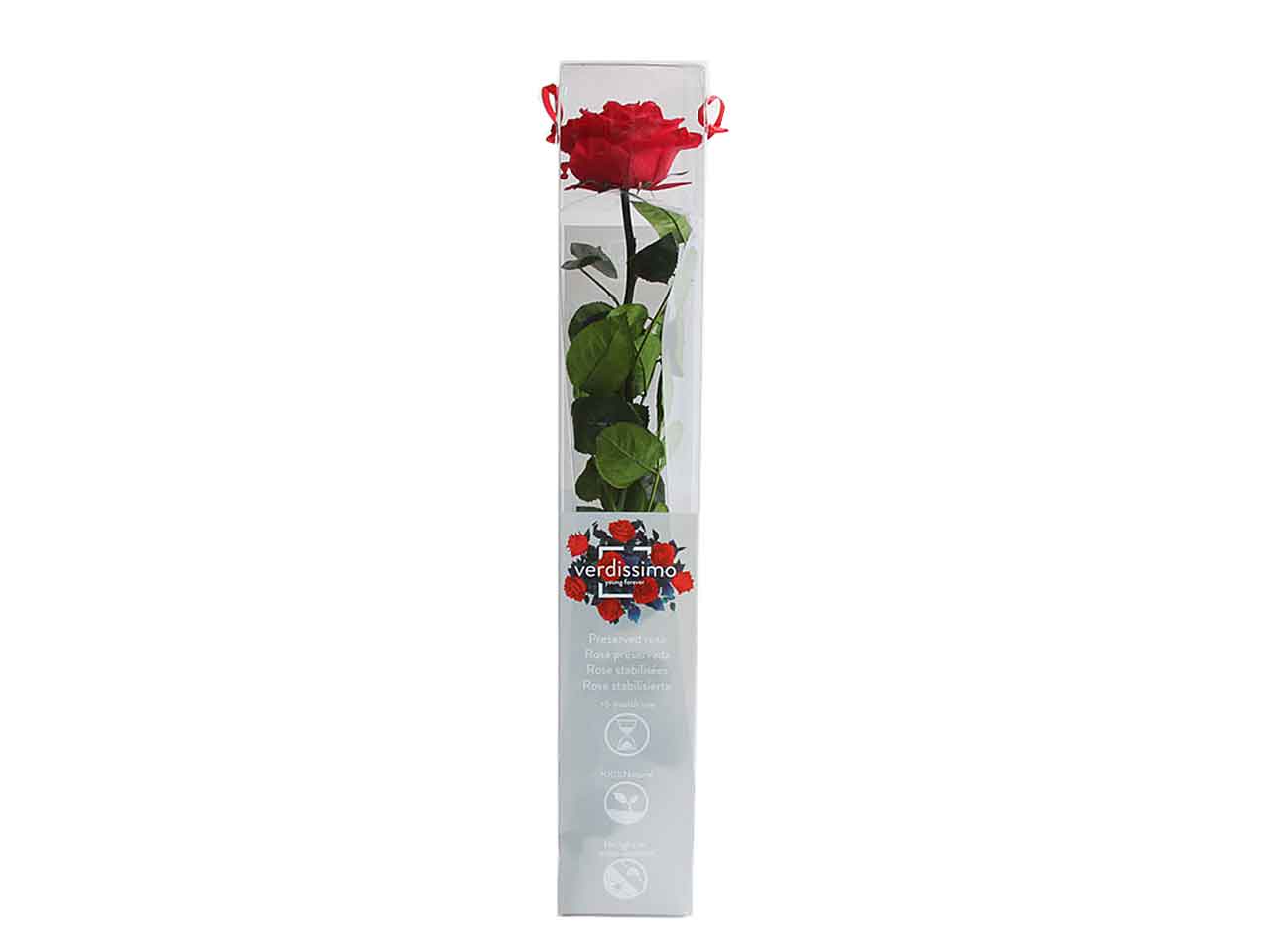 Rosa stabilizzata colore rosso misura 50cm
