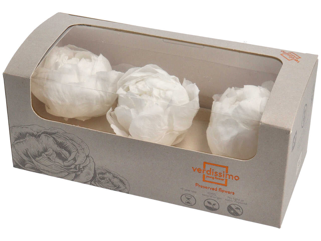 Peonia stabilizzata bianca flessibile naturale, confezione da 3 - Verdissimo