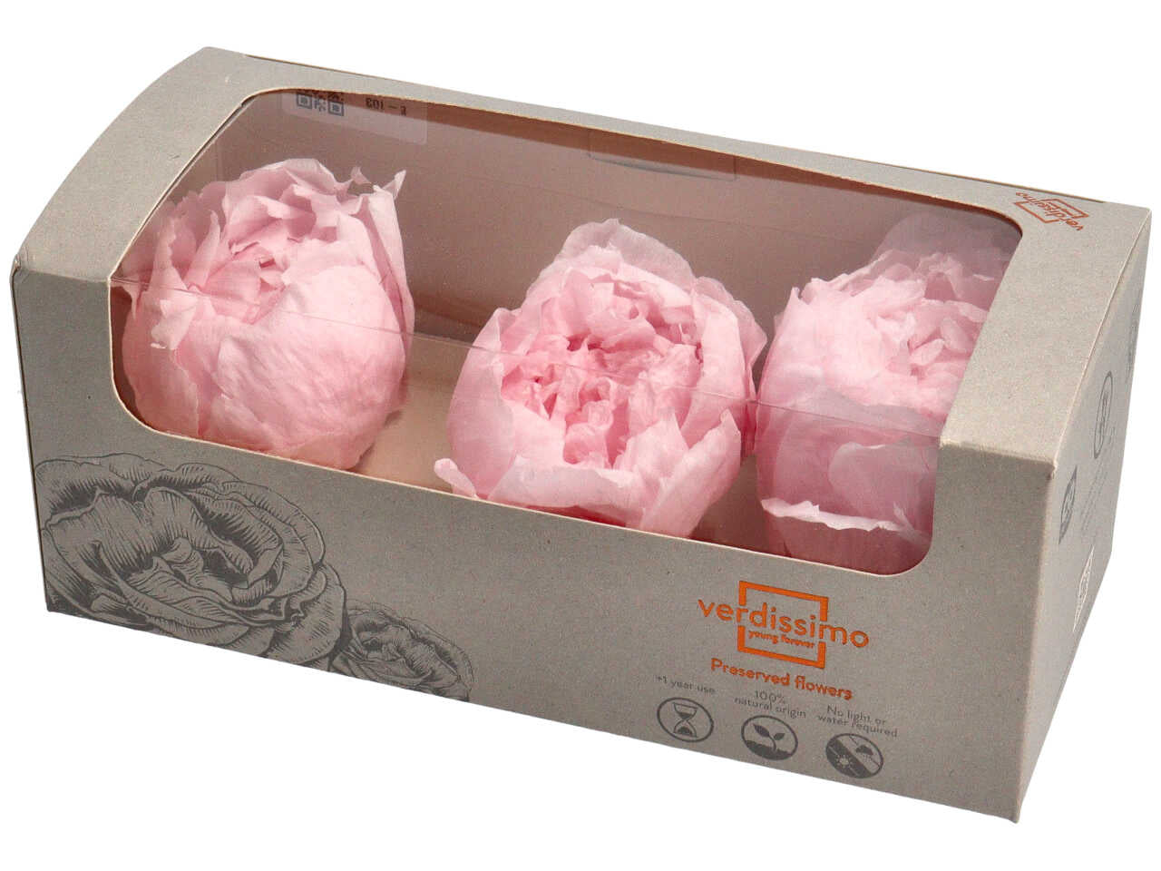 Peonia stabilizzata rosa flessibile naturale, confezione da 3 - Verdissimo