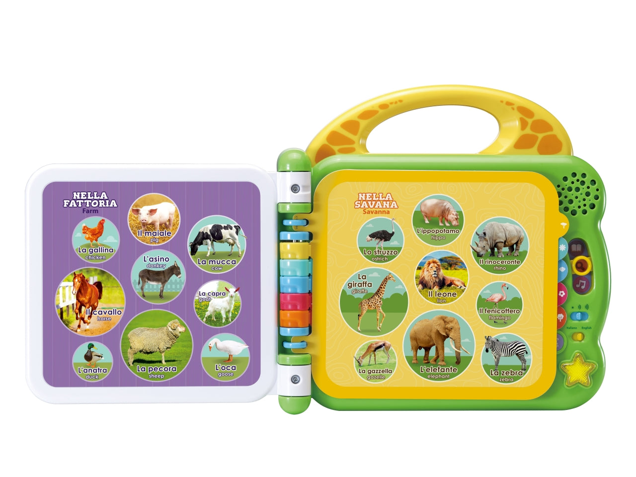 Libro illustrato bilingue - 100 animali