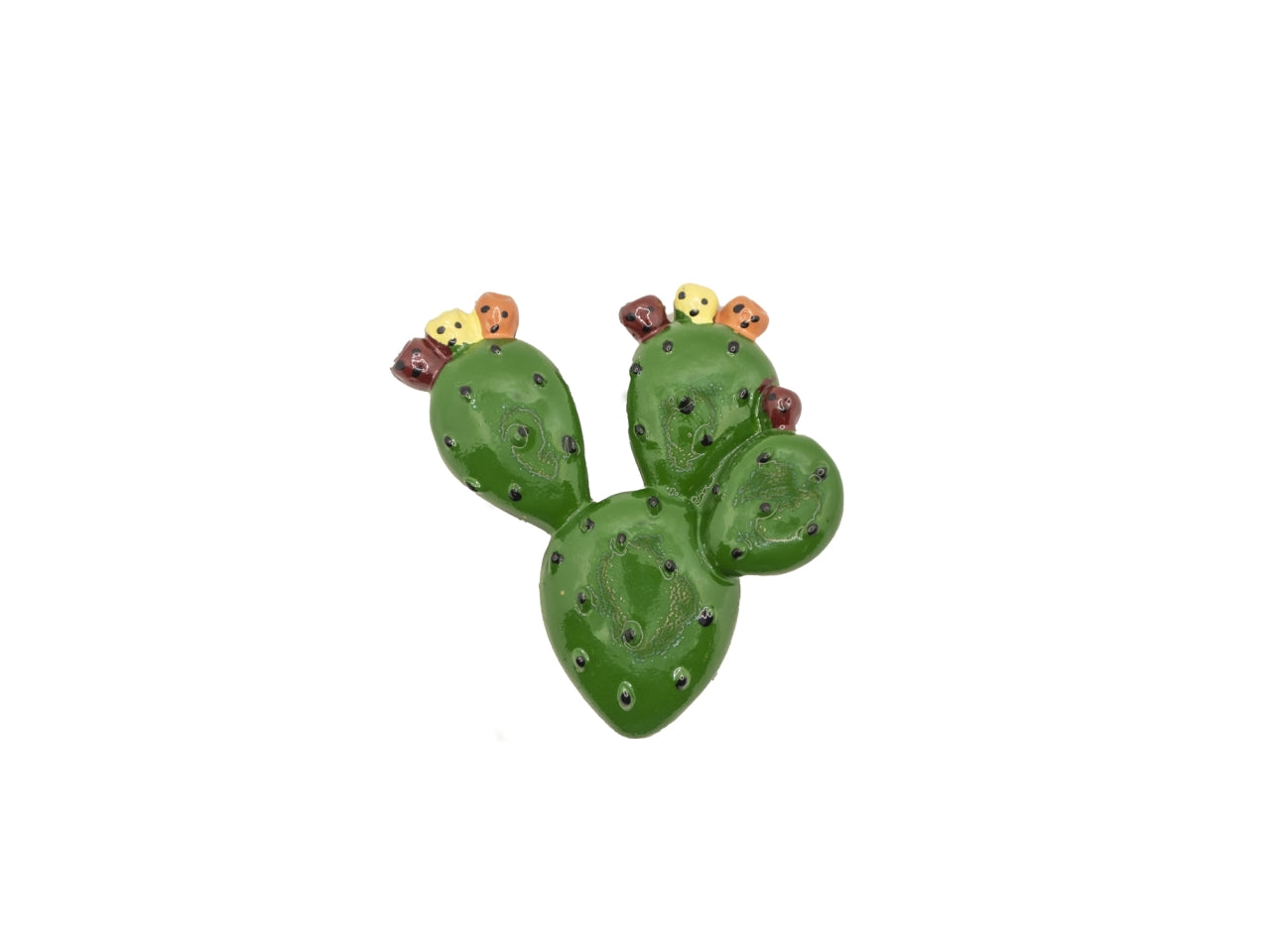 Magnete in resina fico d'india