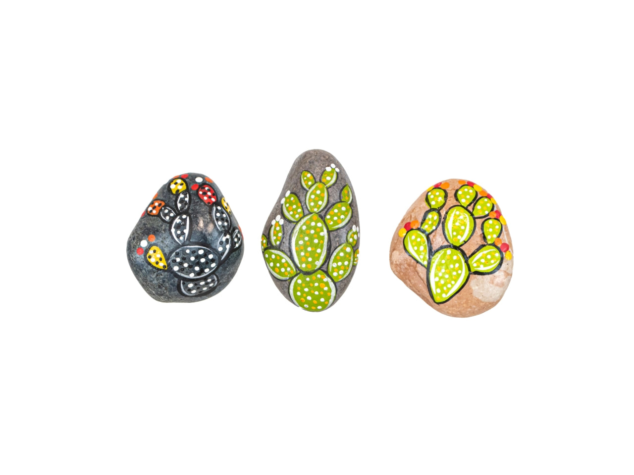 Magnete sasso fico d'india