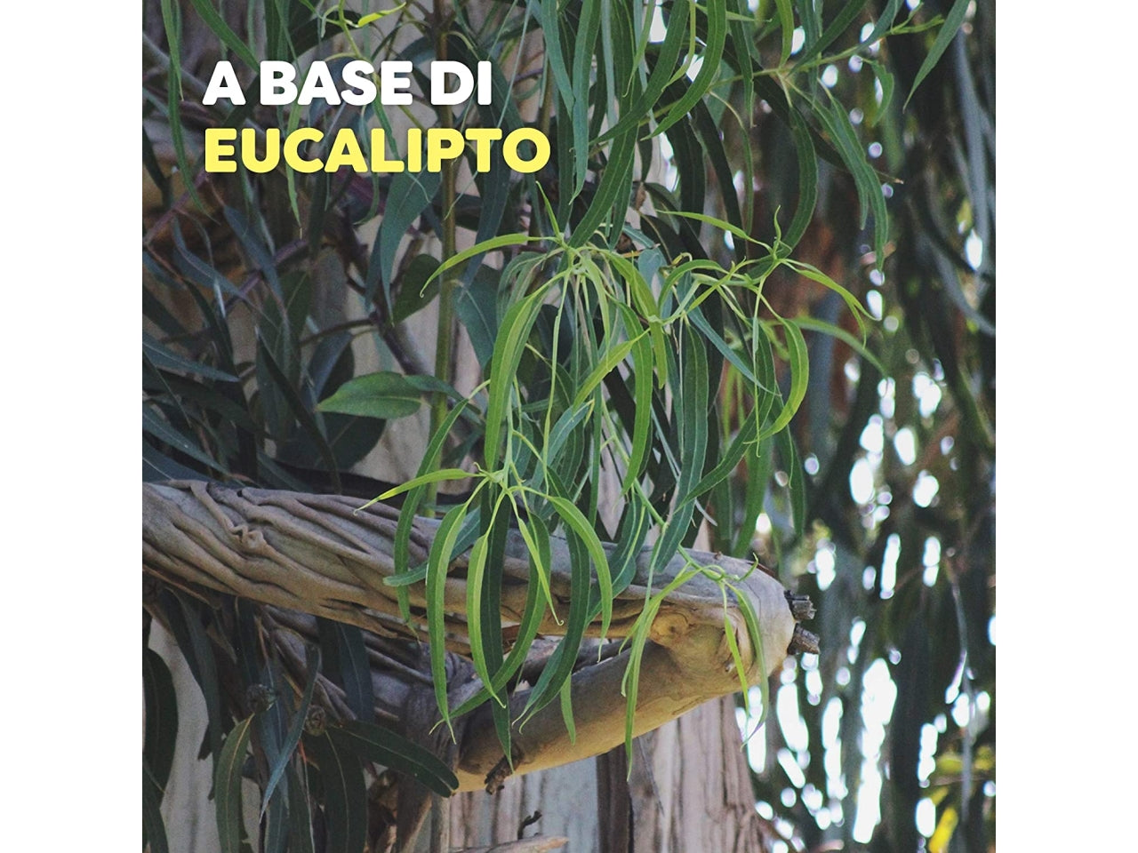 Autan botanicals crema repellente formato da 50ml$