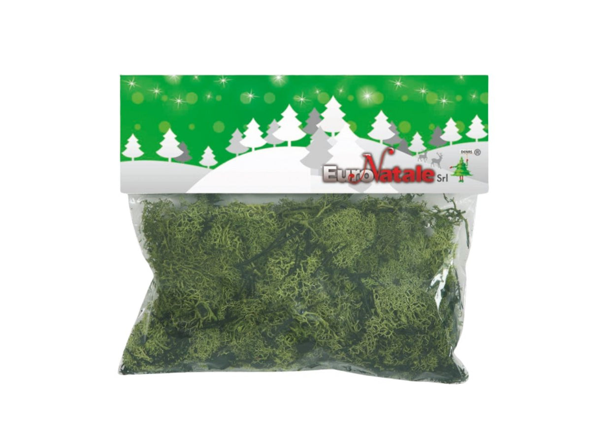 Muschio lichene verde chiaro per presepe in busta