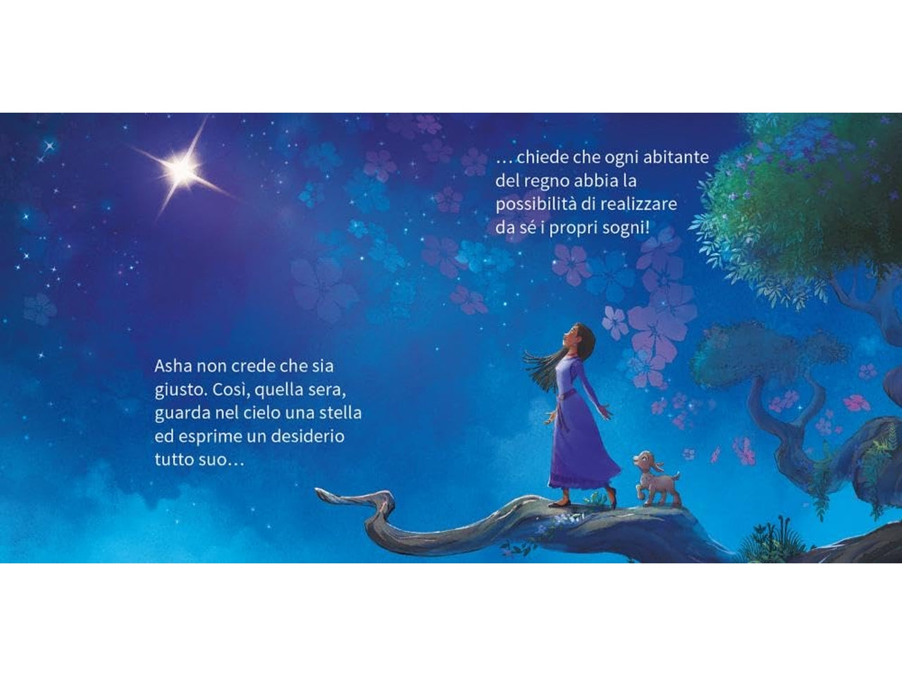 Libro walt disney librottini