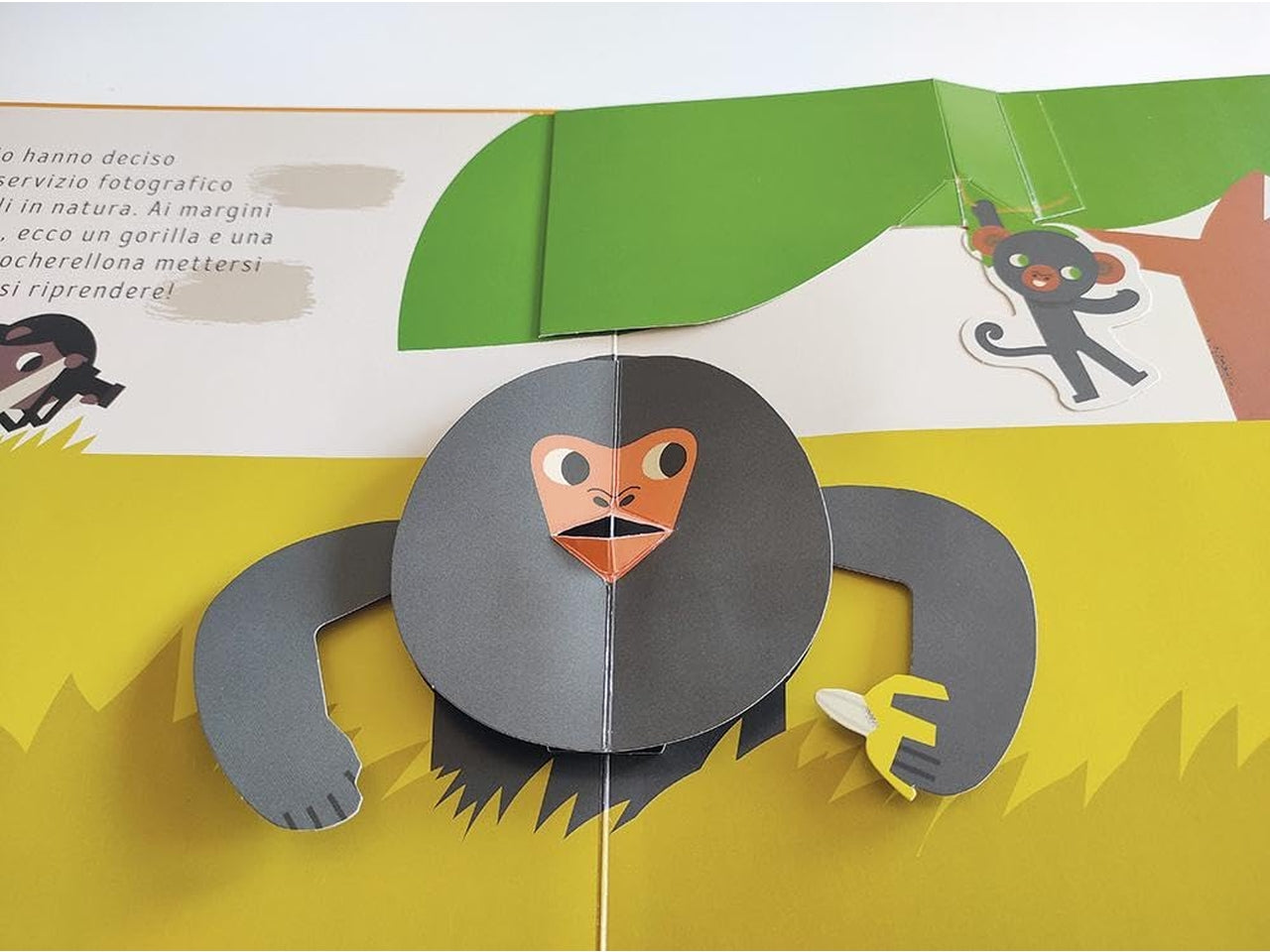 Libro animali selvaggi