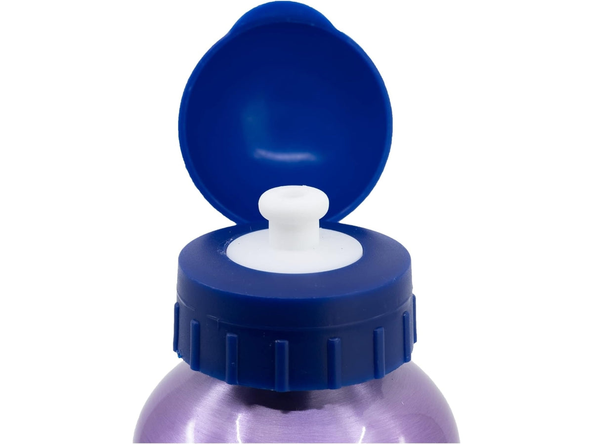 Frozen borraccia alluminio 560ml - Real trade