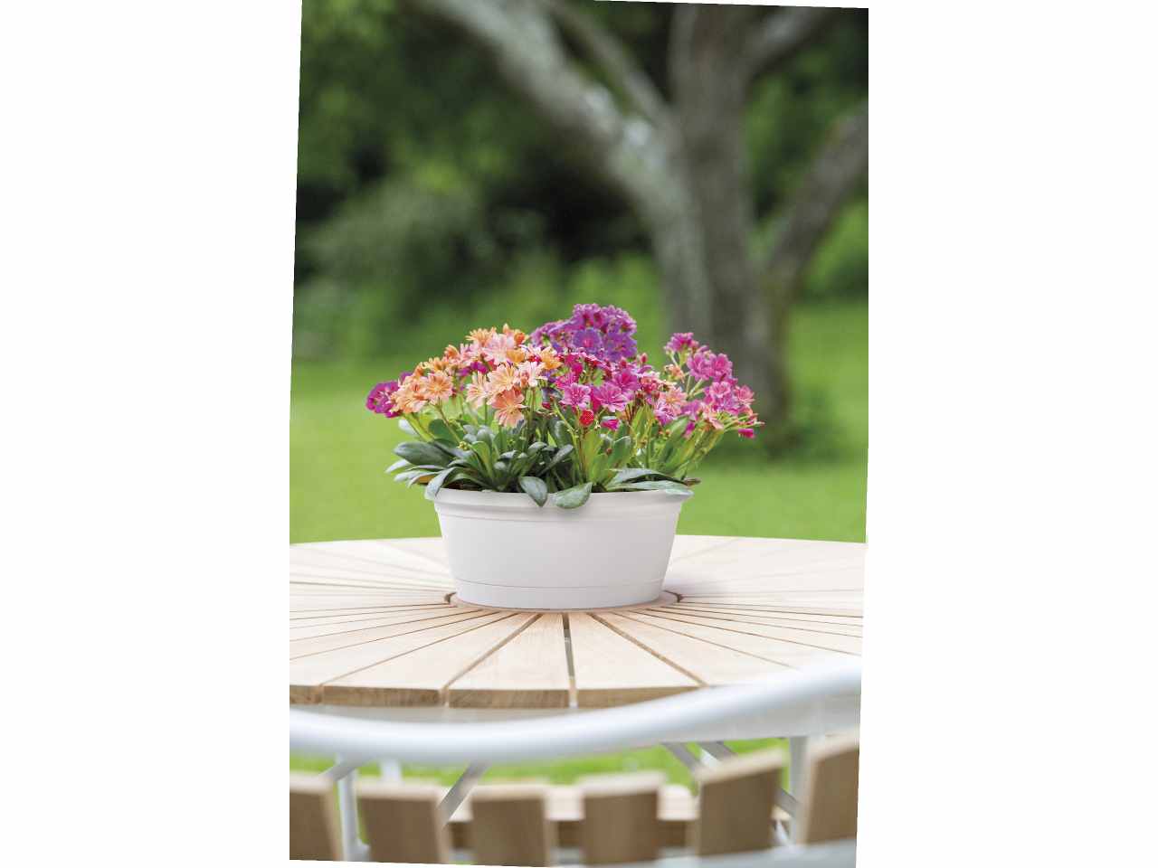 Vaso rumba 25cm bianco 33a25b