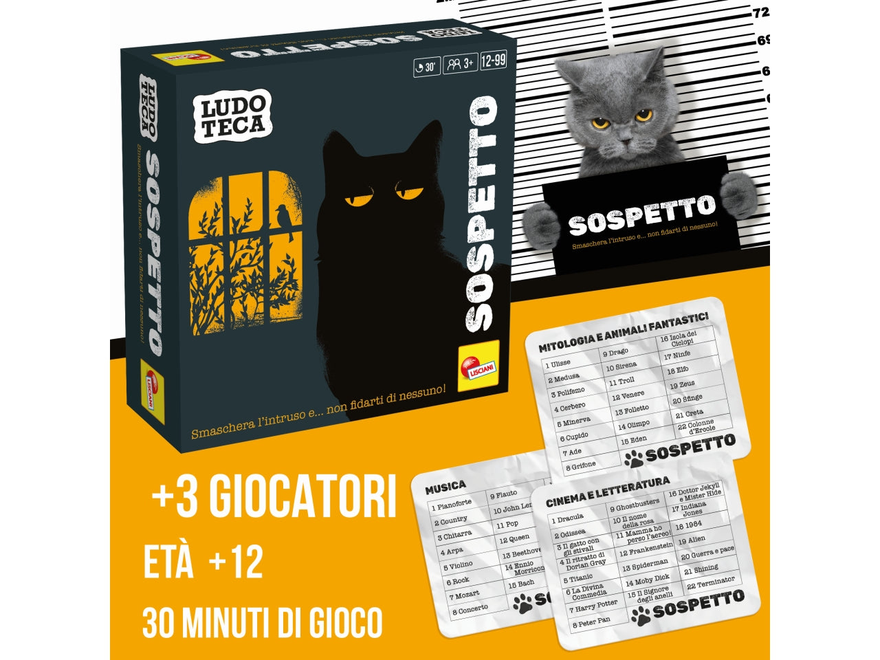 Ludoteca pocket sospetto