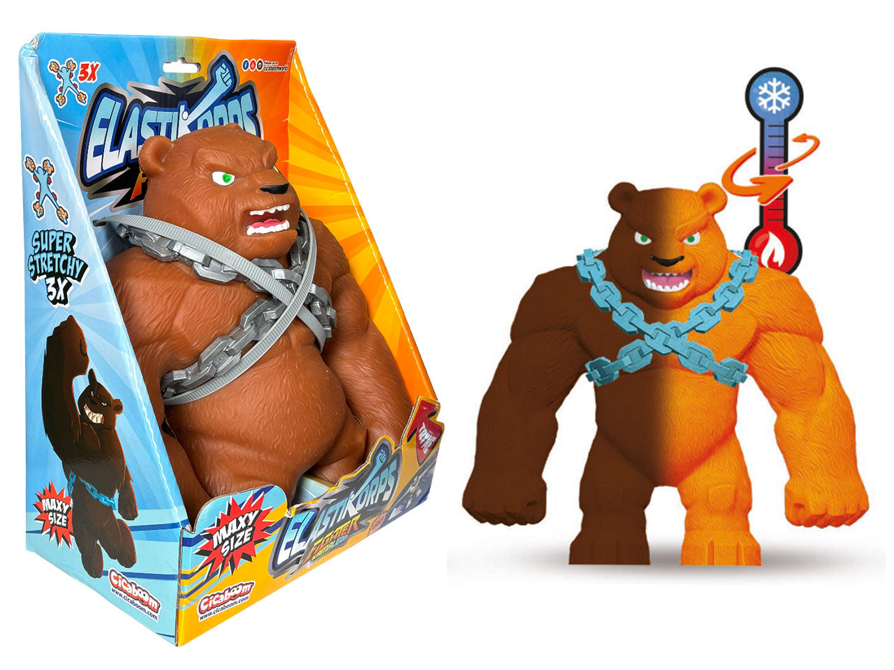 Maxi ursus