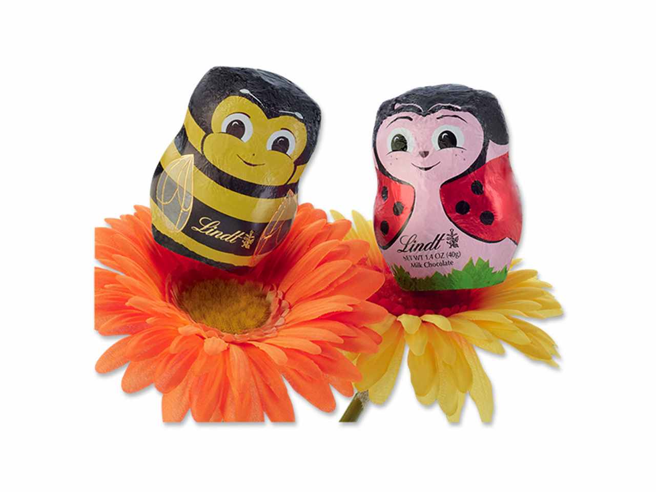 Ape e coccinella 40gr $