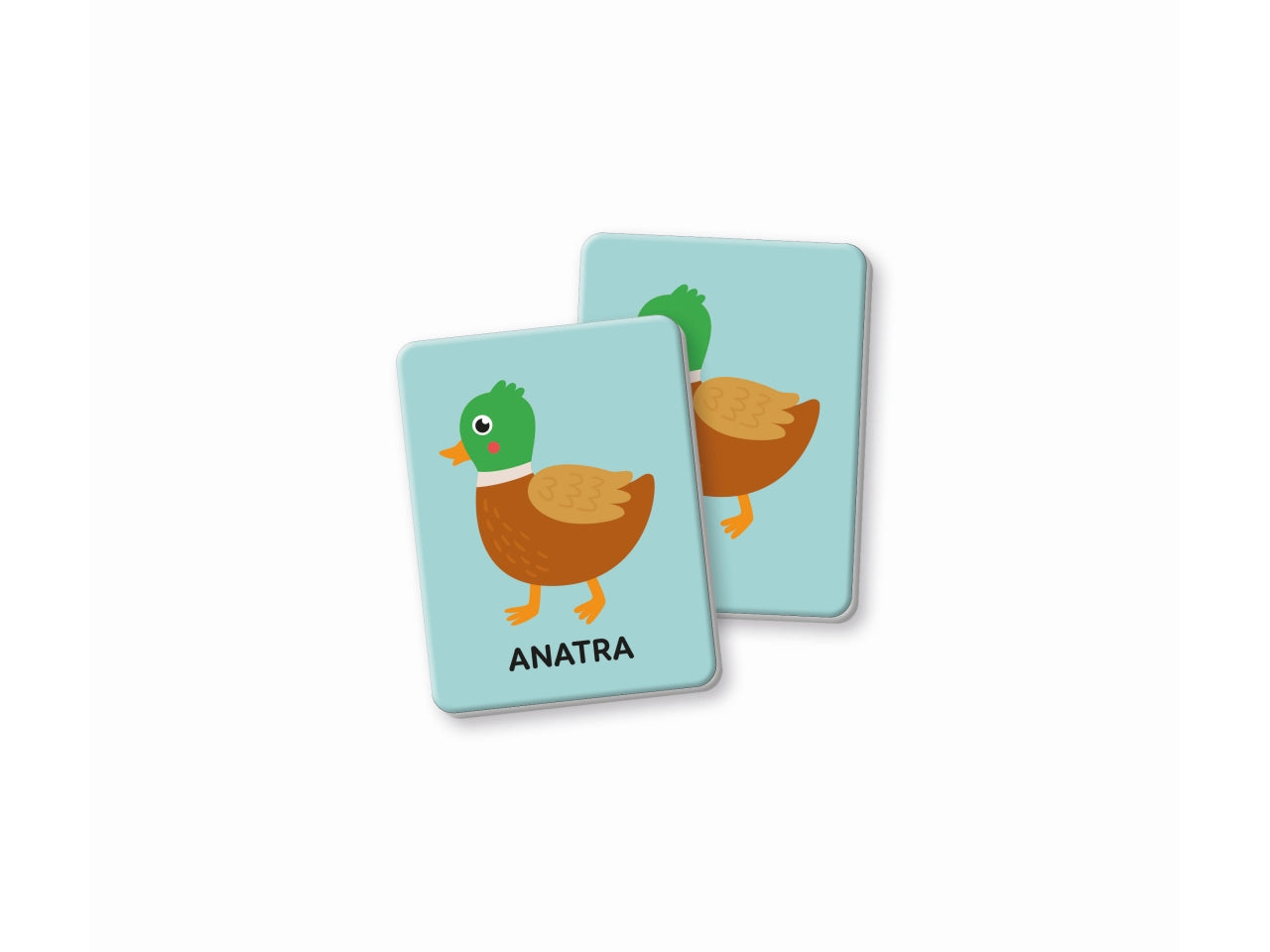Montessori flashcards baby primo memo