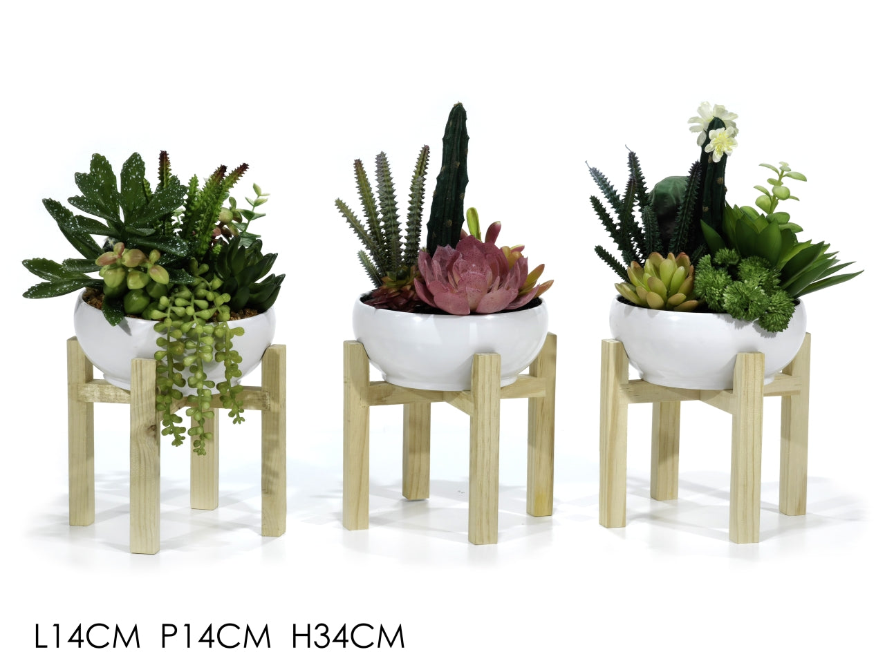 Vaso con pianta e stand in legno h.34cm in 3 assortimenti