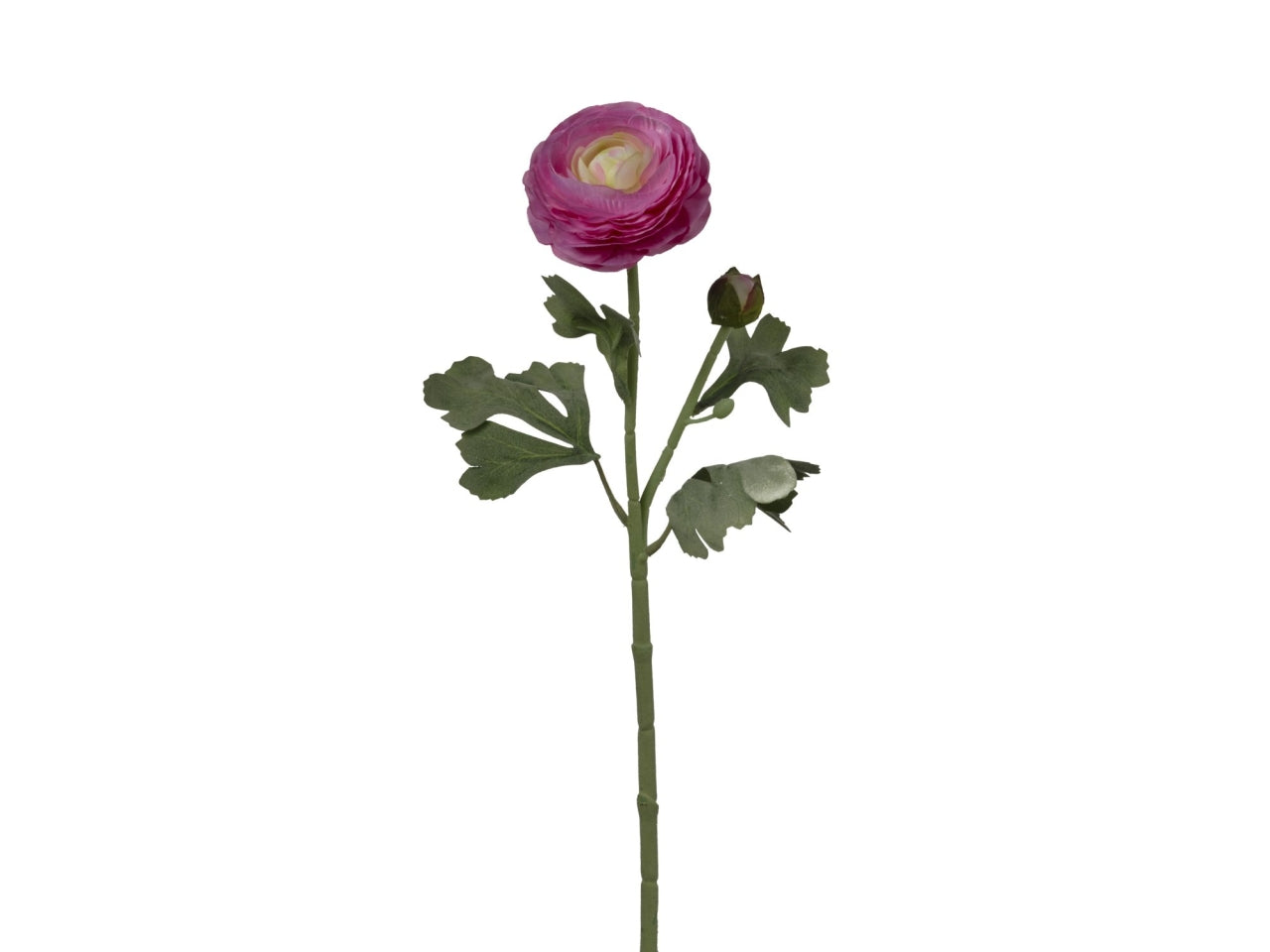 Ramo ranuncolo con 2 fiori 18x18x49cm di colore rosa