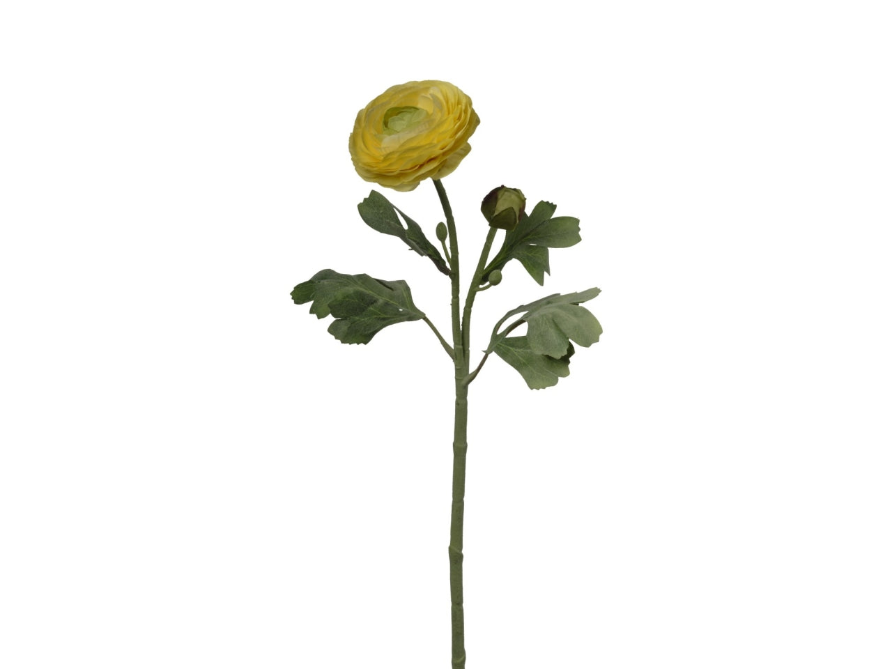 Ramo ranuncolo con 2 fiori 18x18x49cm di colore giallo