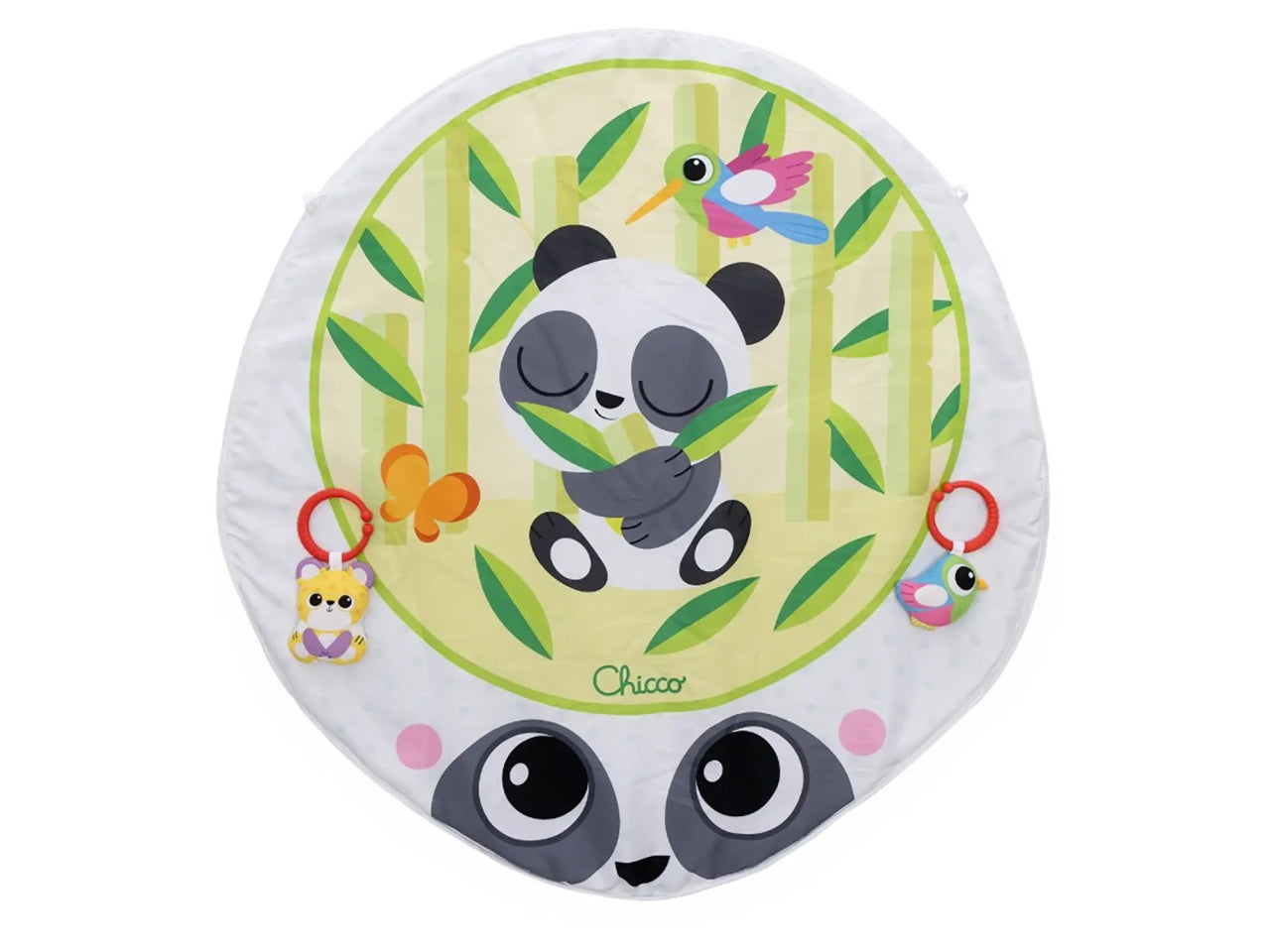 Gioco palestrina magic forest