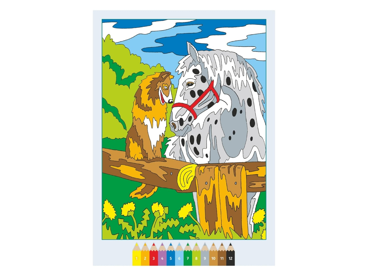 Creart album da colorare 7+ - cavalli