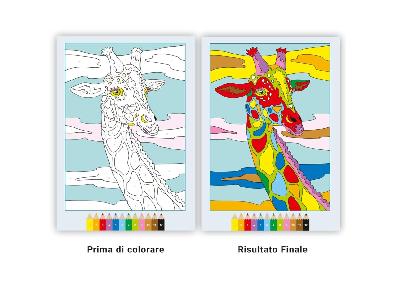 Creart album da colorare 7+ - animali selvaggi